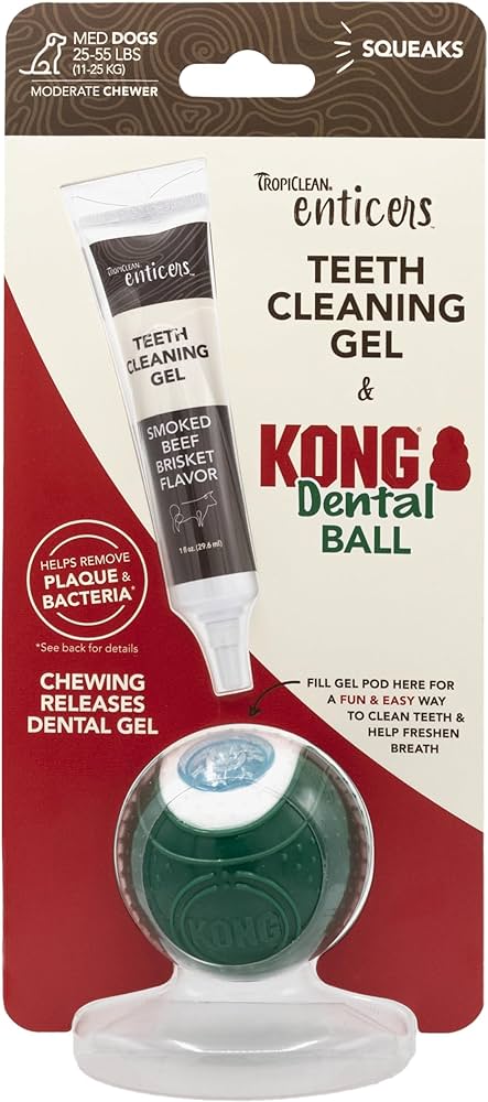KONG Dental Ball w. Cleaning Gel