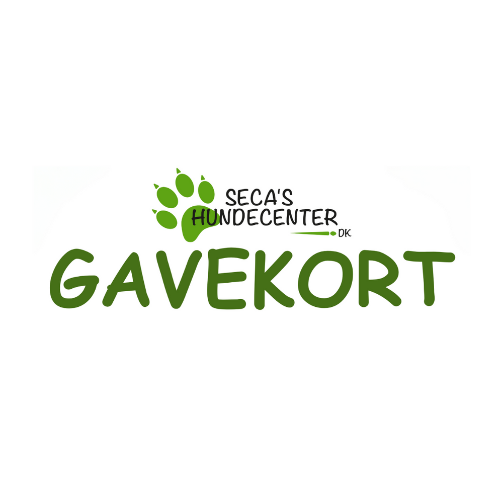 GAVEKORT