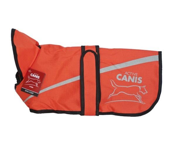 Canis Active 2 i 1, Orange